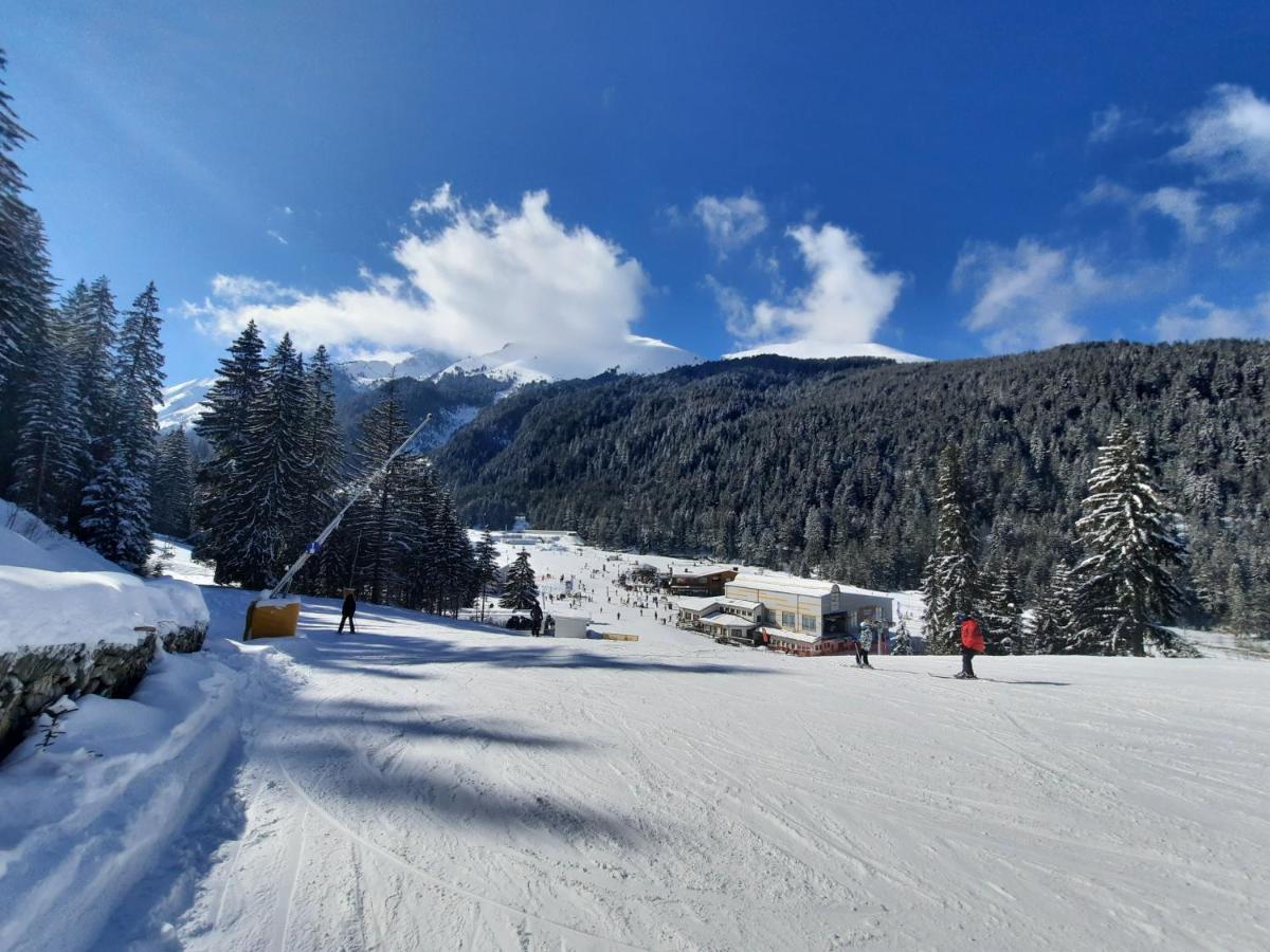 Apartment In Aspen Golf バンスコ エクステリア 写真